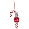 Image de Feeric Lights et Christmas - Sdn Bois Sucre orge RG 20cm