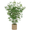 Image de Plante artificielle