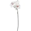 Image de Atmosphera - Branche Magnolia Rose h88cm