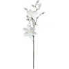 Image de Atmosphera - Branche Magnolia Blanc h66cm