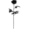 Image de Atmosphera - Branche Rose Noir et doré h65cm