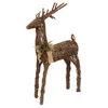 Image de Feeric Lights et Christmas - Renne Branches nat h125