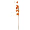 Image de Atmosphera - BCH Citrouille h60