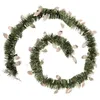 Image de Feeric Lights et Christmas - GDN Deco 150X4X2M Secrets - Vert