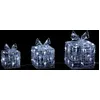 Image de Feeric Lights & Christmas - Cadeau x3 Lumineux extérieur h23cm 70 LED + transfo