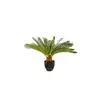 Image de Plante artificielle Palmito