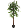 Image de Plante artificielle FICUS H.185XL.97XØ.86 Ficus