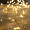 Image de Feeric Lights et Christmas - Guirlande Lumineuse extérieure Solaire 300 LED Blanc Chaud l.30m cuivre