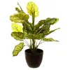 Image de AC-Déco Plante Artificiel en Pot - H 45 Cm