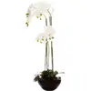 Image de Plante artificielle orchidée H.115 cm JJA