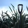 Image de Les Jardins Lampe solaire LED Tulip avec piquet, anthracite