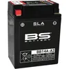 Image de BS battery 300838 BB14A A2 12V SLA AGM Batterie Moto (Noir)