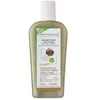 Image de Eumadis - Bio capilargil shampoing ségénérateur Bio - Eumadis