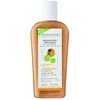Image de Shampoing Traitant Bio Cheveux Secs & Rêches Sans Sulfate (250 ml) - Dermaclay - Shampoings