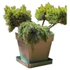 Image de Riviera Pot Marron 50 x 50 cm