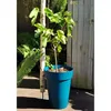 Image de Pot de fleurs - RIVIERA - SOLEILLA - Plastique - H52 x D39 cm - Bleu