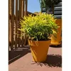 Image de Riviera Pot Jaune Ø 60 cm