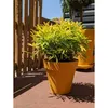 Image de Pot de fleurs rond RIVIERA - SOLEILLA - Plastique - D59 x H54 cm - Jaune