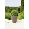 Image de Pot de fleurs - RIVIERA - Soleilla Rond - Ø 59 x 536 cm - Gris pailleté