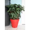 Image de Pot de fleurs - RIVIERA - Loft avec réserve deau - Rond - Ø 49 x H 45 cm - 50L - Rouge