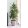 Image de Pot de fleurs avec réserve deau - RIVIERA - Loft Rond - Ø 49 x H 45 cm -Taupe