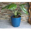Image de Pot de fleurs rond - RIVIERA - EVA NEW - Plastique - D30 x H275 cm - Bleu