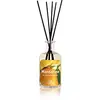 Image de Lampe du Parfumeur Bambous 100ml Mandarine