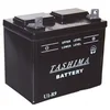 Image de Greenstar 11780 Batterie U1.R9 chargée sans entretien