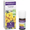 Image de Hélichryse italienne - 5 ml