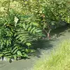 Image de Toile de paillage - VILMORIN - Standard - 1,05 m x 20 m - Marron - pp