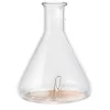 Image de Phytosun Arôms Verrerie pour Diffuseur Nébulisation Expert