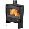 Image de Poêle À Bois Habillage Fonte - 388118
