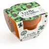 Image de Radis et Capucine - Mini kit de culture - Trèfle 4 feuilles - 6cm