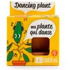 Image de Radis et Capucine - Pot avec coupelle - Plante qui danse - 8 cm