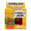Image de Radis et Capucine - Pot avec coupelle - Plante qui pétille - 8 cm