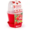 Image de Radis et Capucine - Pot en cloche - Tomate cerise