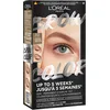 Image de L’Oréal Paris - Teinture Sourcils Semi-Permanente - Tenue Jusqu’à 5 Semaines* - Premiers Résultats en 5 Min - Jusqu’à 10 Utilisations - Sans Ammoniaque - Brow Color - Teinte : 7.0 Dark Blond