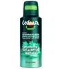 Image de Ushuaia Déodorant Homme Efficacité 48H Eucalyptus Sauvage 150ml