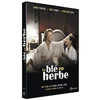 Image de Le Blé en herbe DVD en occasion ou reconditionné