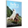 Image de Belle et Sébastien 2 L'aventure continue DVD en occasion ou reconditionné