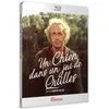 Image de Un chien dans un jeu de quilles Blu-ray en occasion ou reconditionné