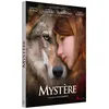 Image de Mystère DVD en occasion ou reconditionné