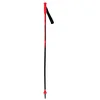 Image de Rossignol - Batons De Ski Hero GS Junior - Taille 110 - Orange
