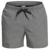 Image de Quiksilver Everyday Deluxe 15"hort de Natación para Hombre