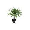 Image de Plante artificielle Yucca RANIE
