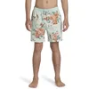 Image de BILLABONG MenBoardshort Layback 16" Good Times S