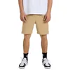 Image de Quiksilver Short Taxer Amphibian 18 Homme Marron M