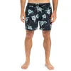 Image de Quiksilver Boardshort Everyday Straight Volley 15 Homme Noir M