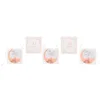Image de Santex Guirlande 12 FANIONS Carton Eid Mubarak 5M Or Rose