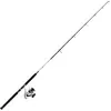 Image de Daiwa Ensemble Set Jigging DW04-180, 100-300